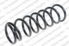 ROC CS8109 Coil Spring